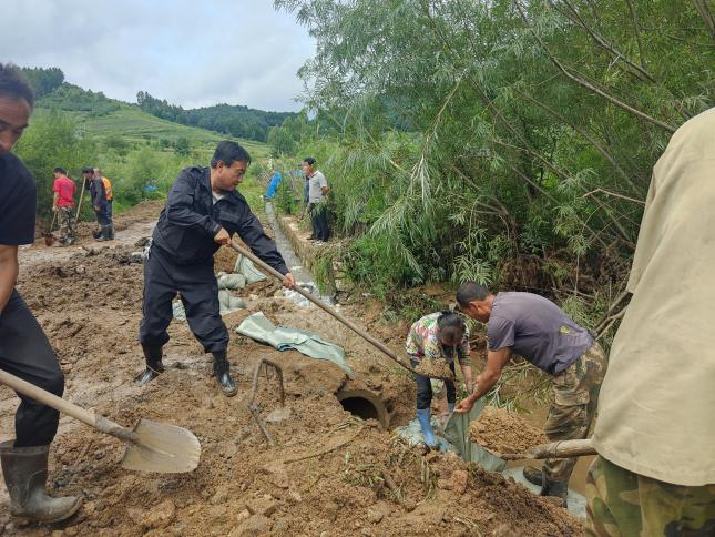 临江市桦树镇灾后重建齐发力 按下恢复“加速键”