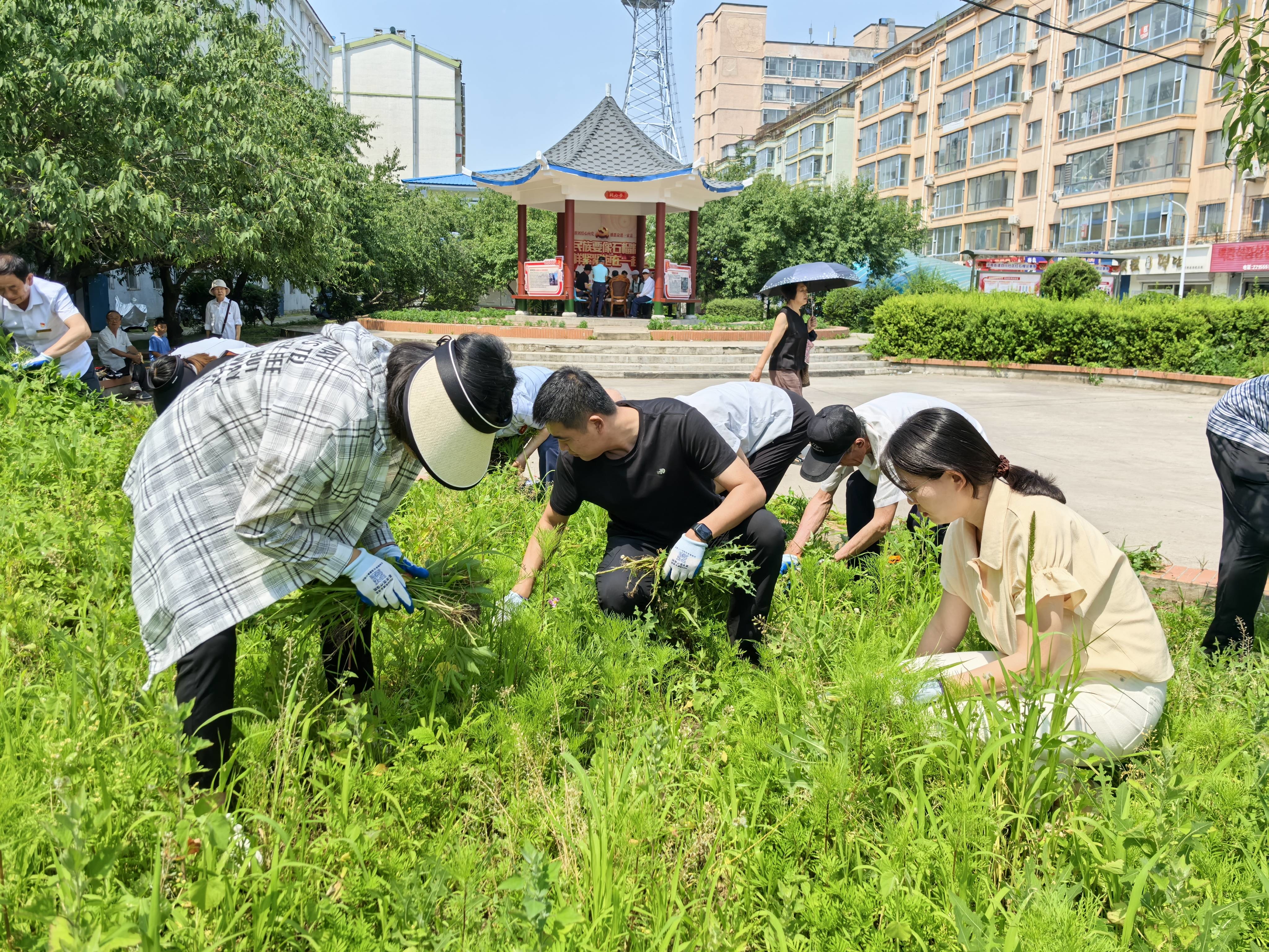 延边州生态环境局延吉市分局开展主题志愿服务活动