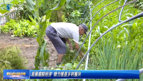 辉南县发展庭院经济 助力全县乡村振兴