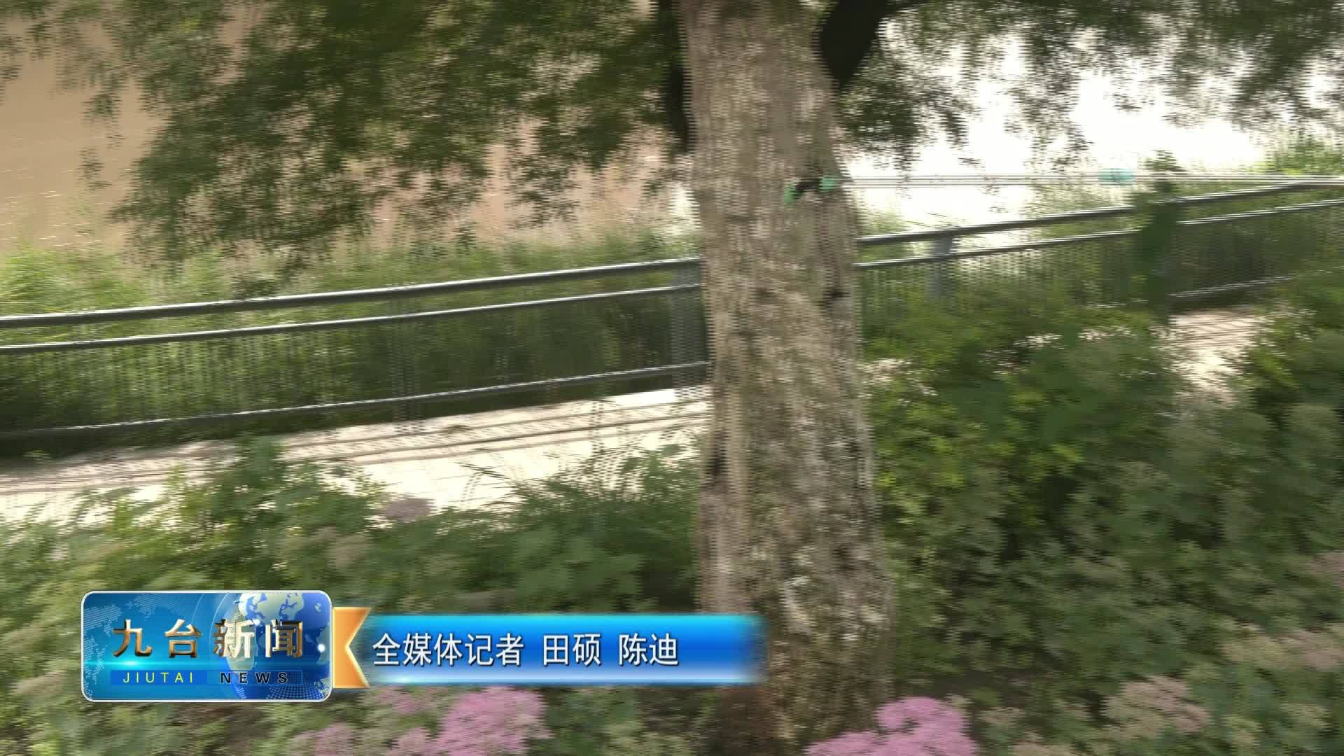 区园林管理中心：科学防+及时治  严控园林绿化病虫害风险
