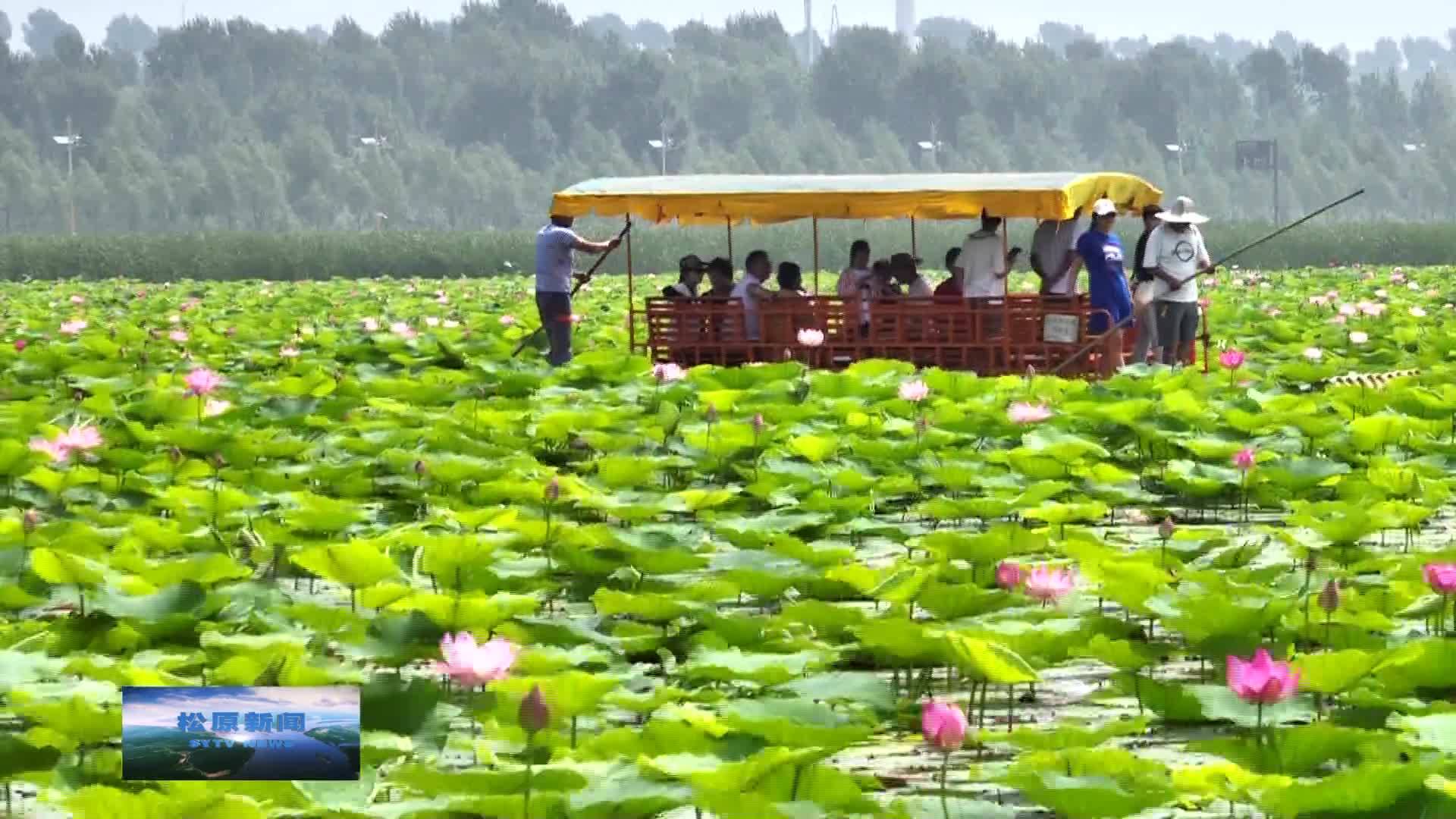 学习贯彻党的二十届三中全会精神  建设人与自然和谐共生的美丽松原