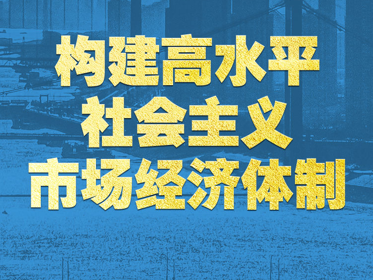 学习新语｜领悟“七个聚焦”：构建高水平社会主义市场经济体制