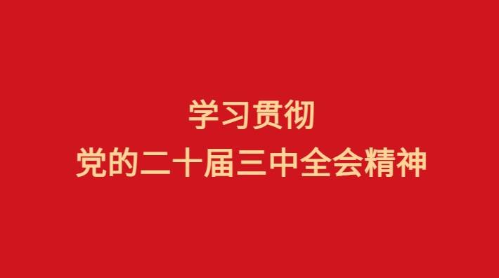 学习贯彻党的二十届三中全会精神省委宣讲团报告会在松举行