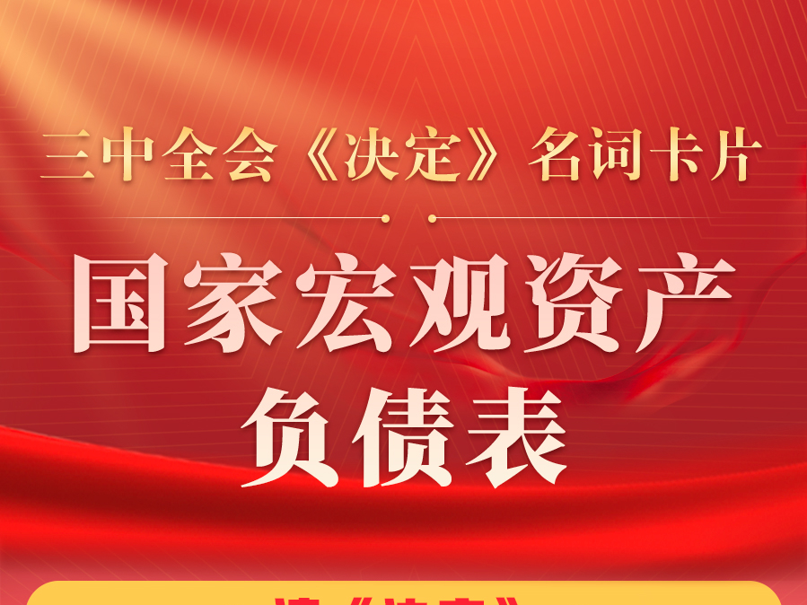 三中全会《决定》名词卡片天天学：国家宏观资产负债表