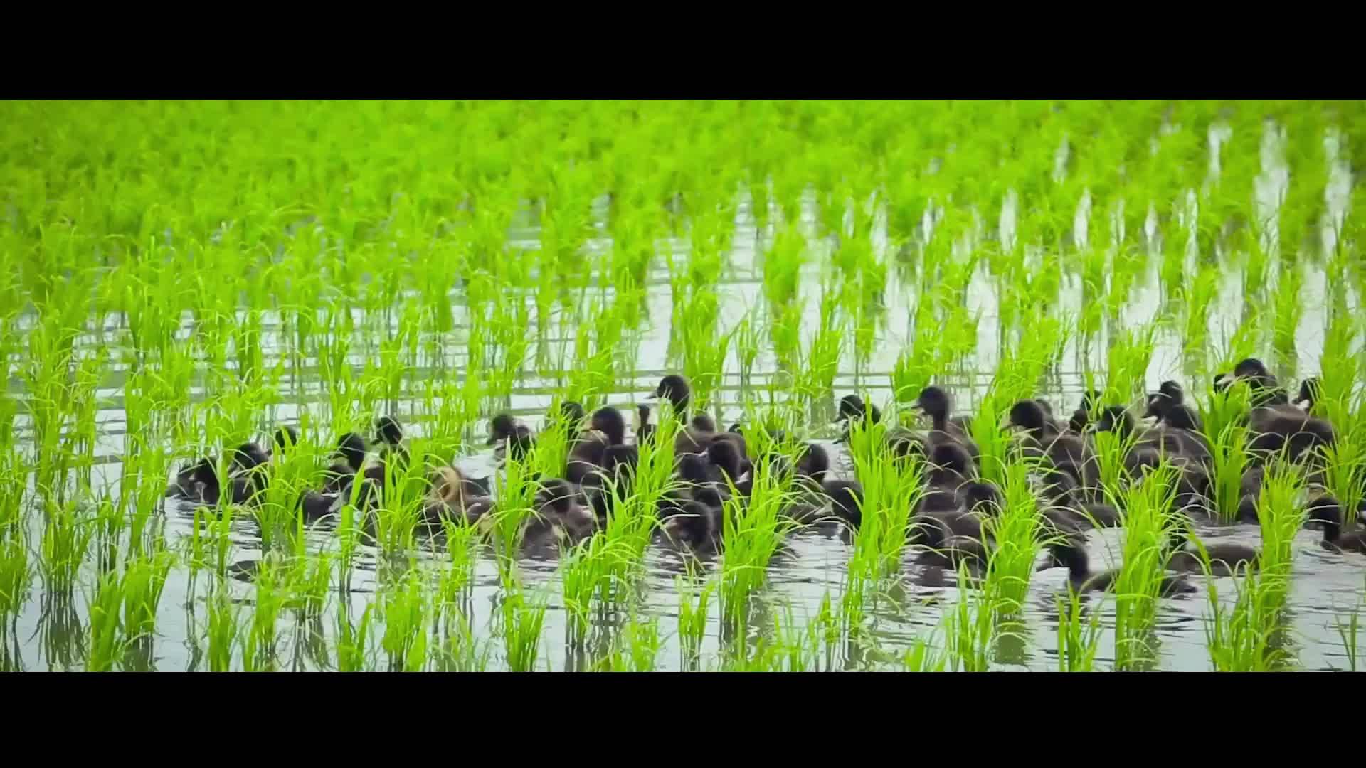 遇见22℃的珲春，醉美珲春欢迎您