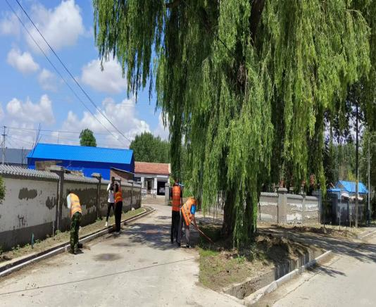 【文明城市 携手共建】长岭县新安镇：垃圾清理齐参与 环境整治见实效