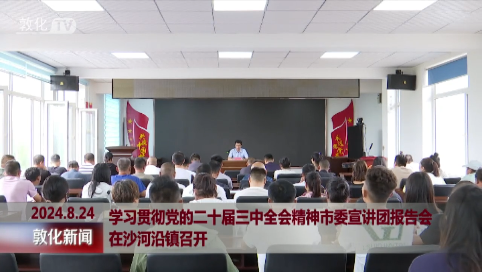 学习贯彻党的二十届三中全会精神市委宣讲团报告会在沙河沿镇召开