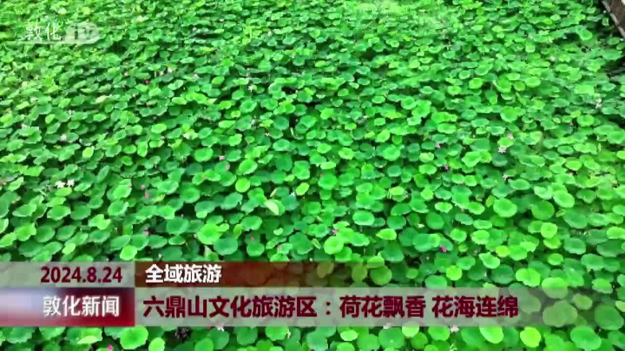 六鼎山文化旅游区：荷花飘香 花海连绵