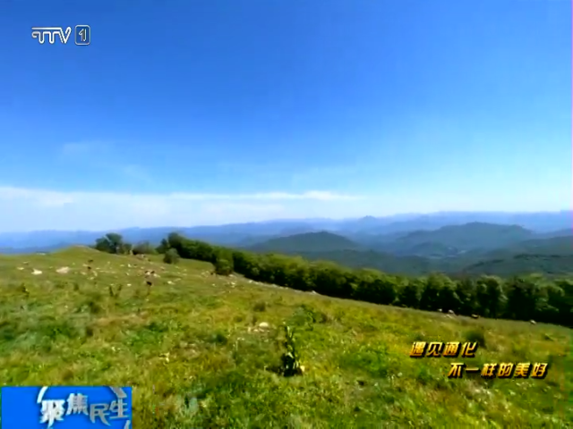 四方山：空中阚绿野   山间隐翠微