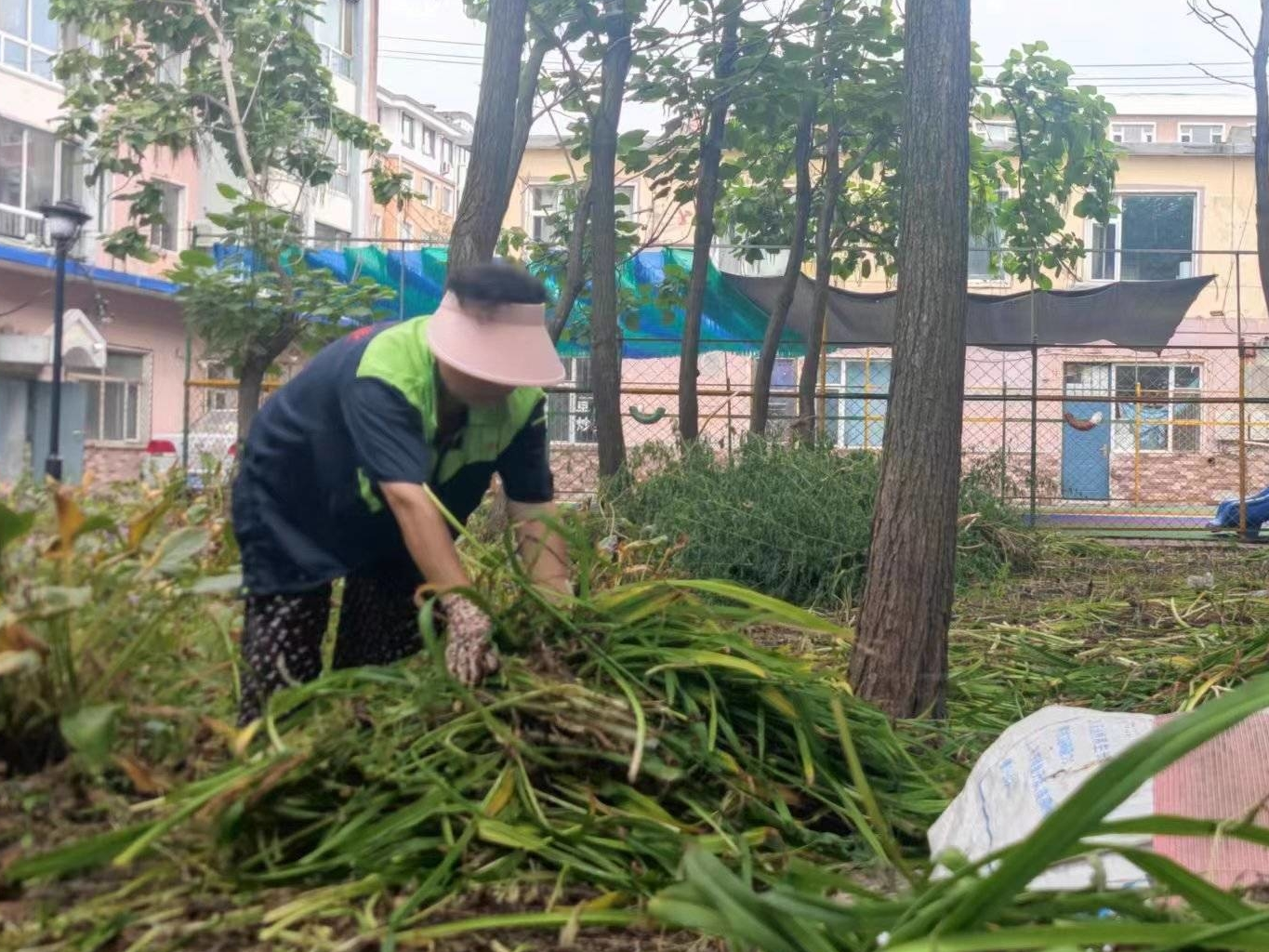 辉南县东凤街道兴工社区积极沟通物业公司对小区内绿化带杂草进行清理