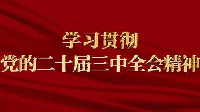 渭津镇宫家村新时代文明实践站开展“学习贯彻党的二十届三中全会精神”宣讲活动