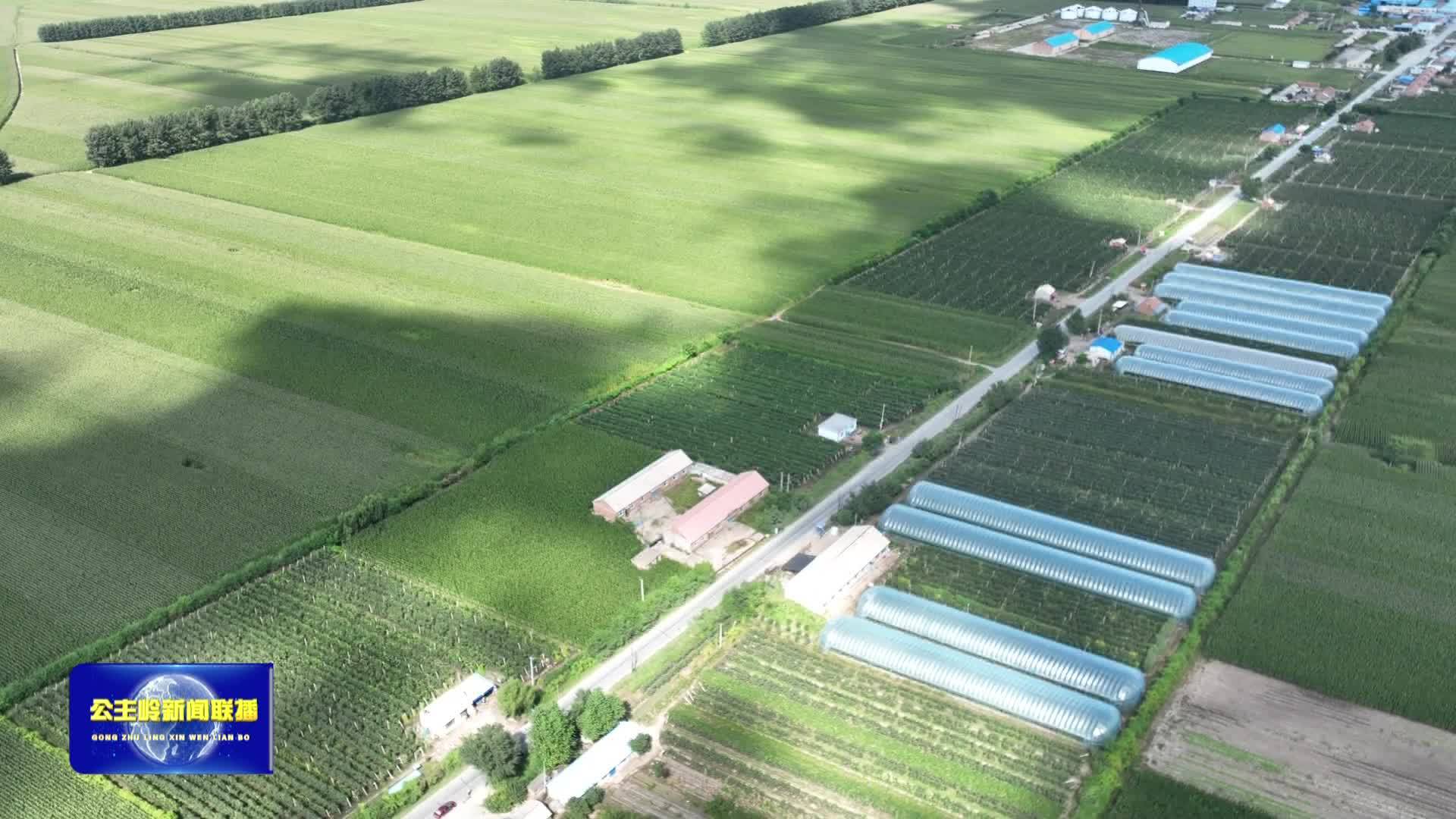 【乡村振兴·现代农业】 双城堡镇：特色产业激发乡村发展活力