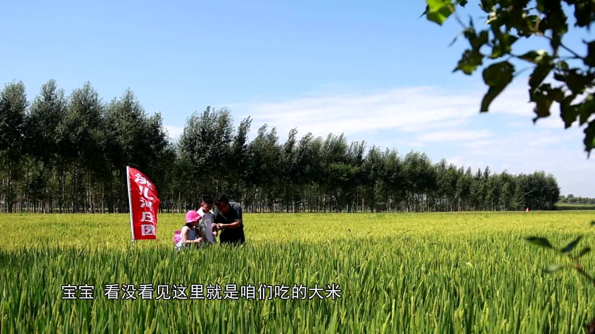 9月2日 乡约黑土地