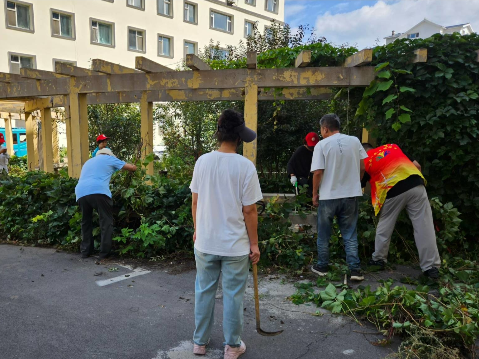 辉南县朝辉街道惠民社区联合共筑共建单位对小区院内爬山虎进行修剪