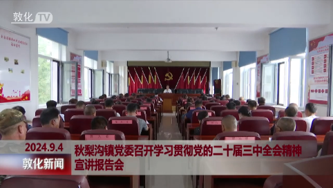 秋梨沟镇党委召开学习贯彻党的二十届三中全会精神宣讲报告会