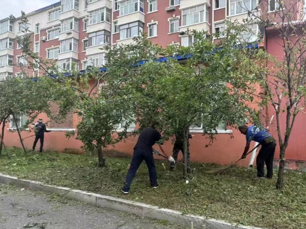 ​辉南县西凤街道爱国社区包保单位县残联针对小区杂草和院内卫生进行清理