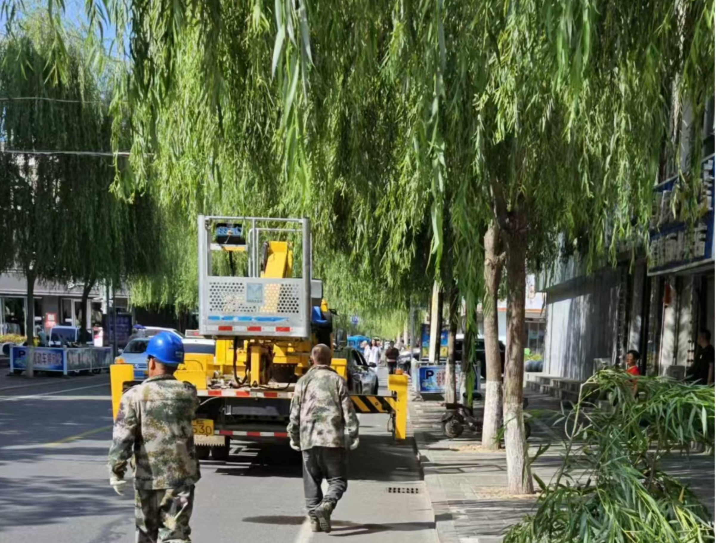 辉南县朝辉街道惠民社区协调电业局将安居小区门前大树进行修整