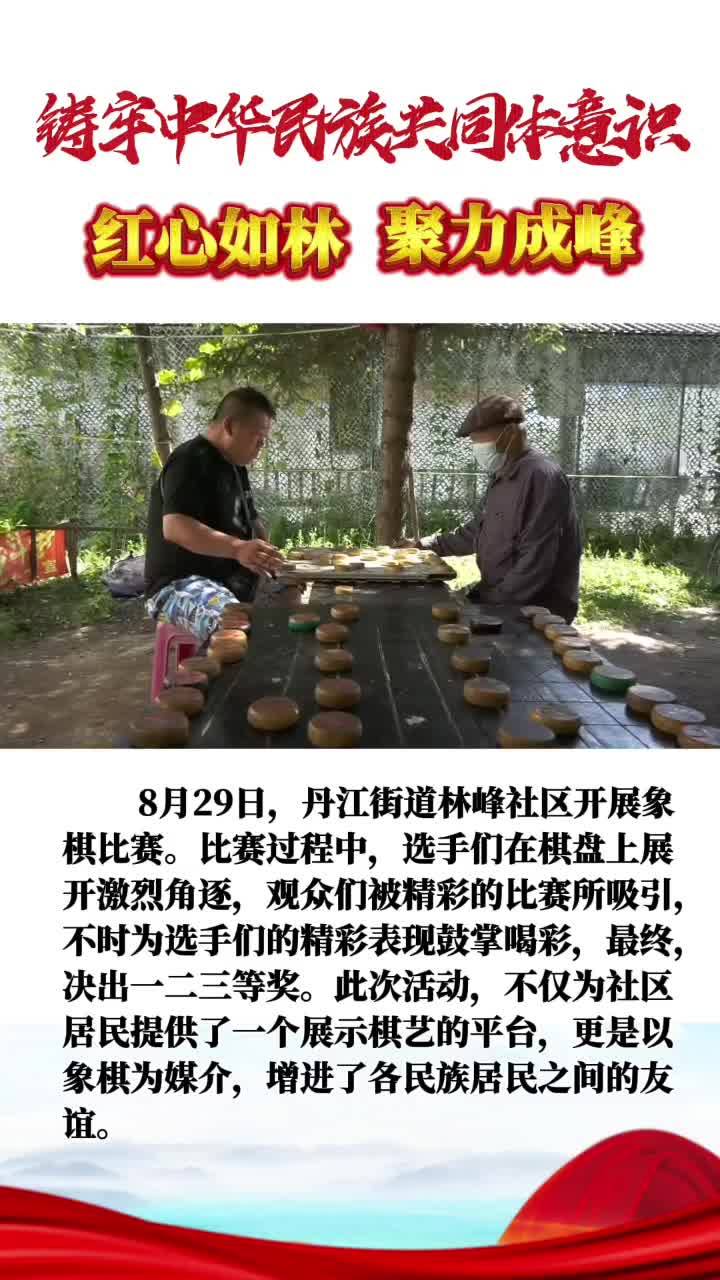 丹江街道林峰社区“‘棋’聚民族心 共弈团结局”象棋比赛