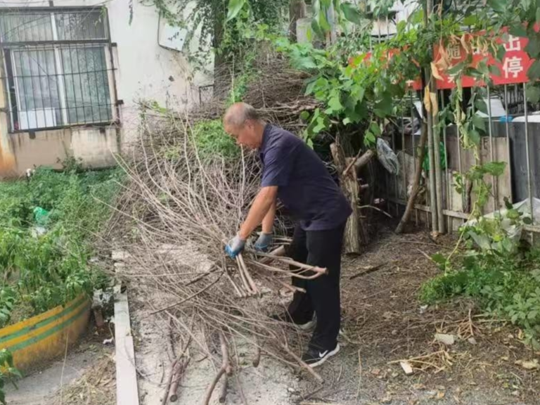 辉南县朝辉街道惠民社区联合包保单位深入安居小区对院内杂物进行清理