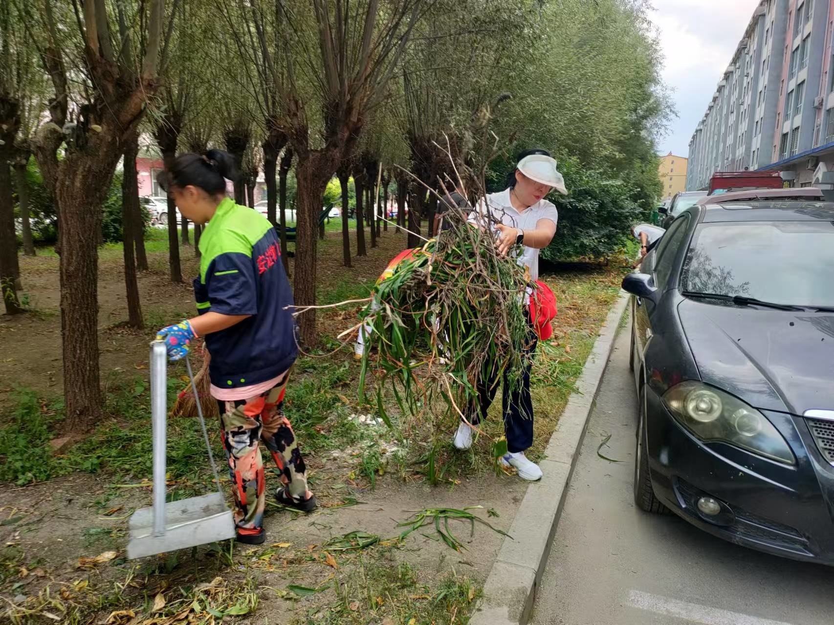 辉南县东凤街道兴工社区联合包保单位深入小区清理院内杂草