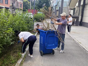 辉南县朝辉街道惠民社区到县医院小区清理卫生