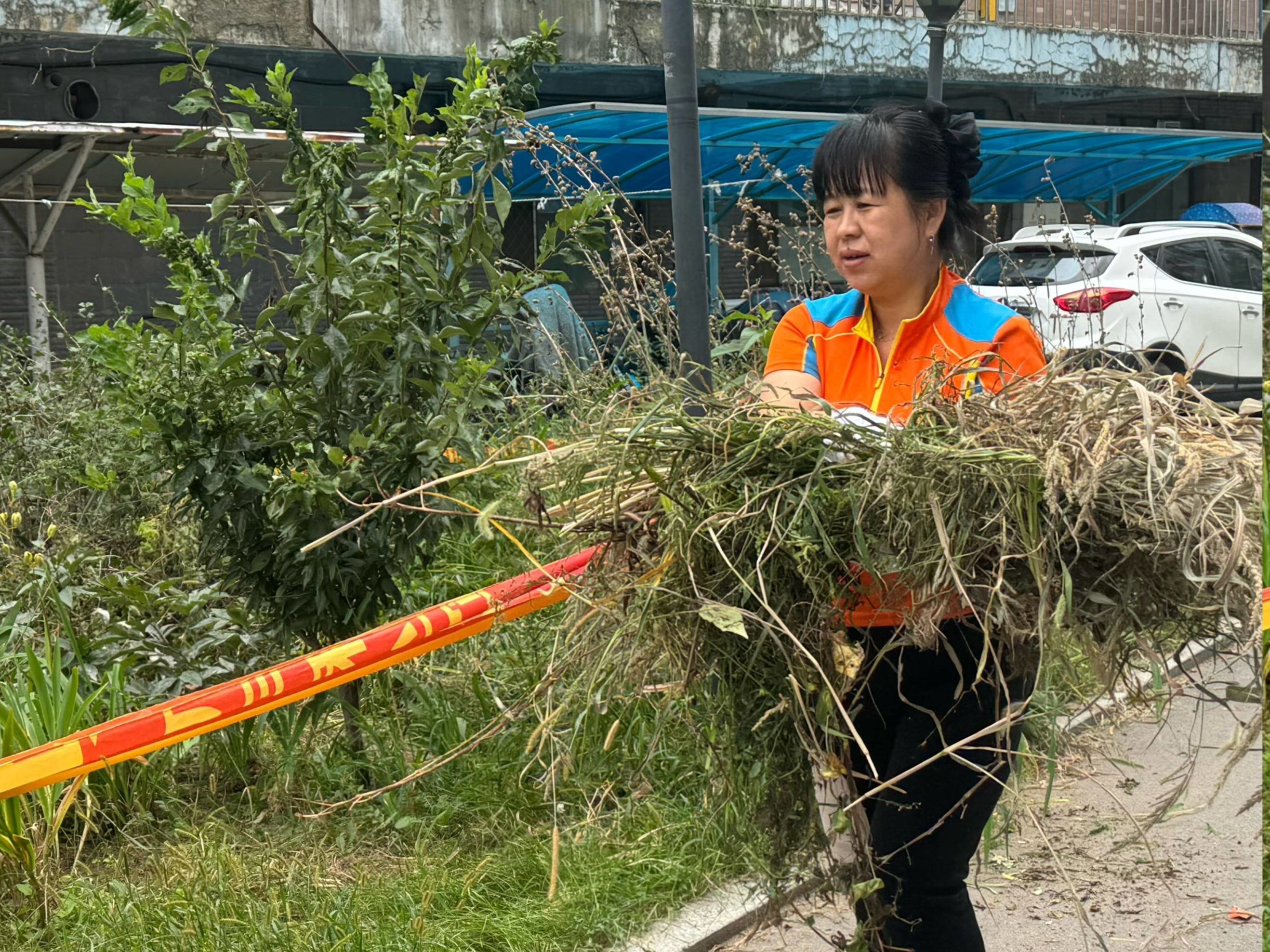 辉南县西凤街道爱国社区深入小区清理环境卫生