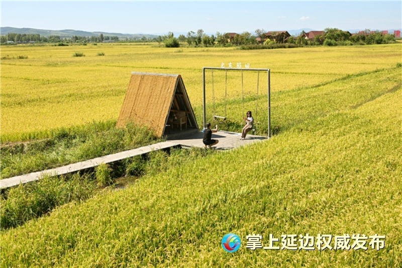 延边：金秋好时节 风吹稻浪迎“丰”景