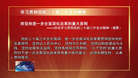 始终坚持进一步全面深化改革的重大原则——四论学习贯彻党的二十届三中全会精神（摘要）