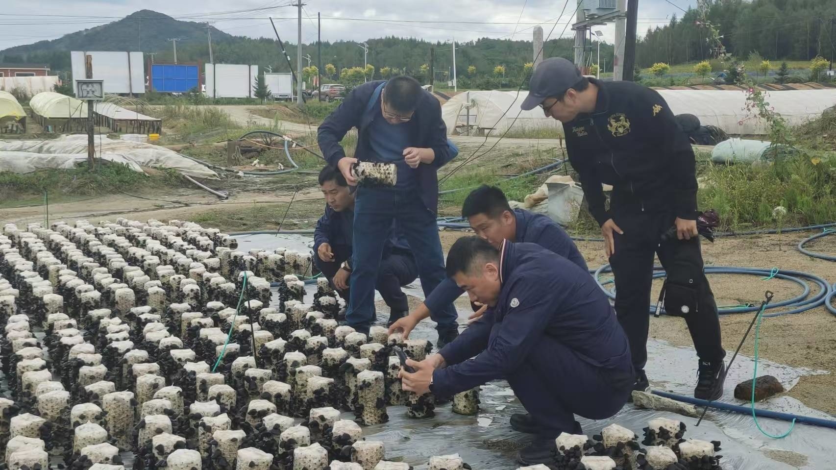 吉林市科技局到蛟河市开展“送科技下乡”实用技术培训活动