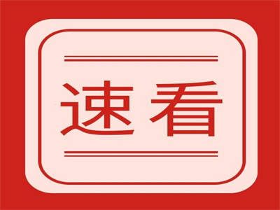 “AI科学家”登场，科研自动化时代来了？