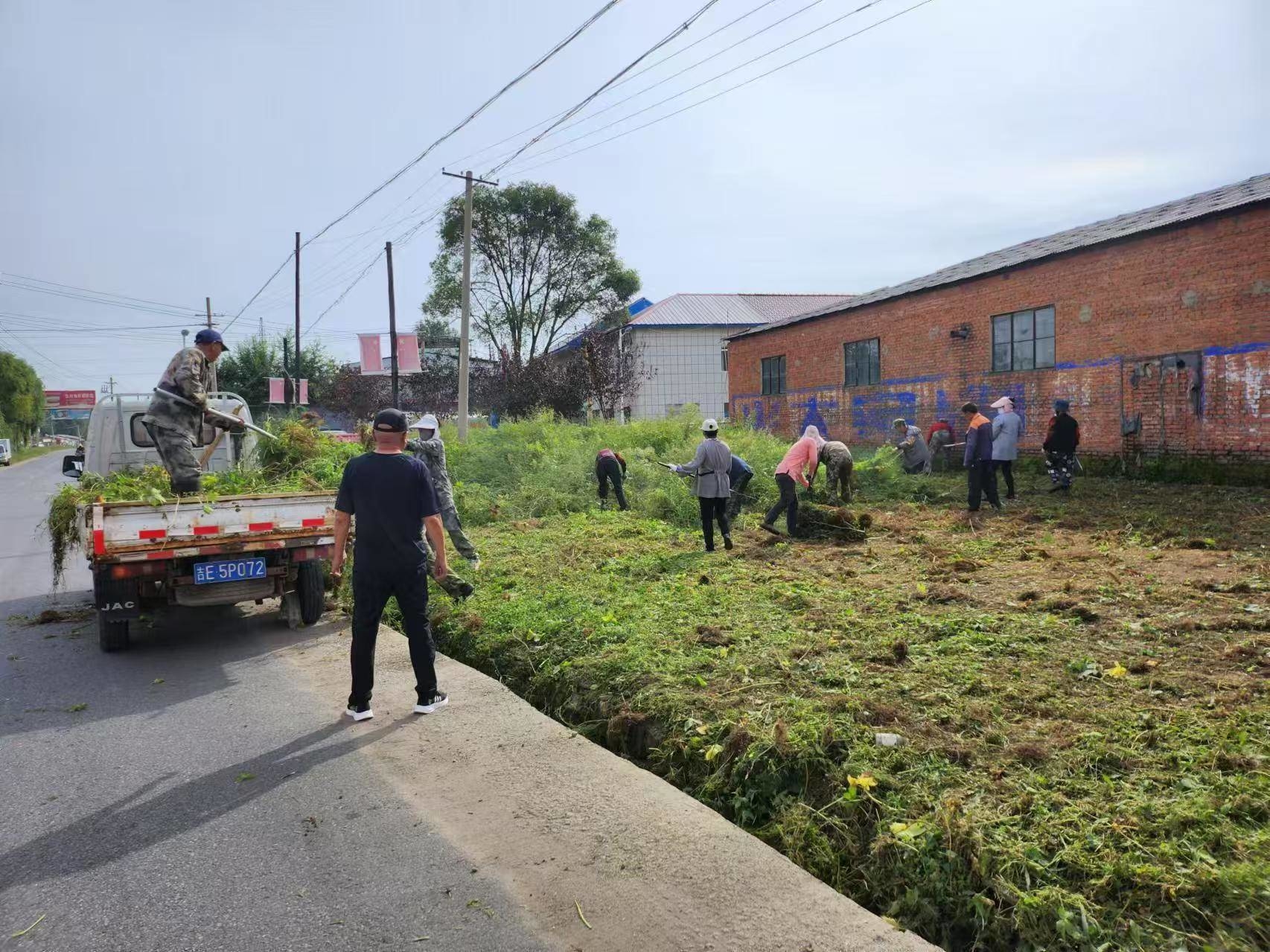 辉南县东凤街道泰和社区清理水泥管厂以东通乡路两侧杂草