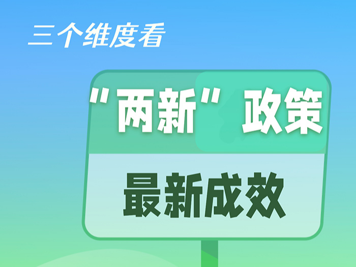 数读中国丨三个维度看“两新”政策最新成效