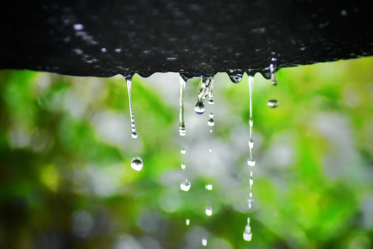 注意！明天开始降雨降温，将出现霜或霜冻！