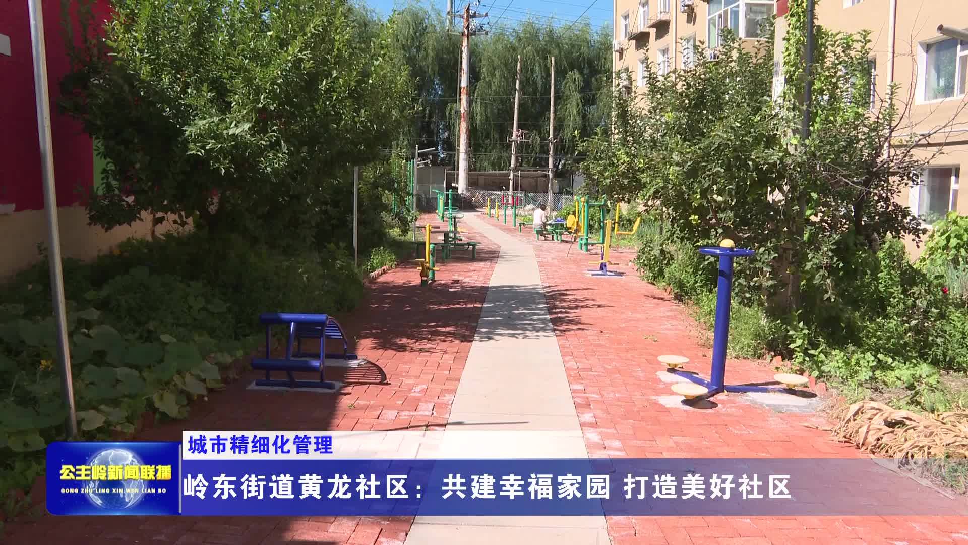 【城市精细化管理】岭东街道黄龙社区：共建幸福家园 打造美好社区