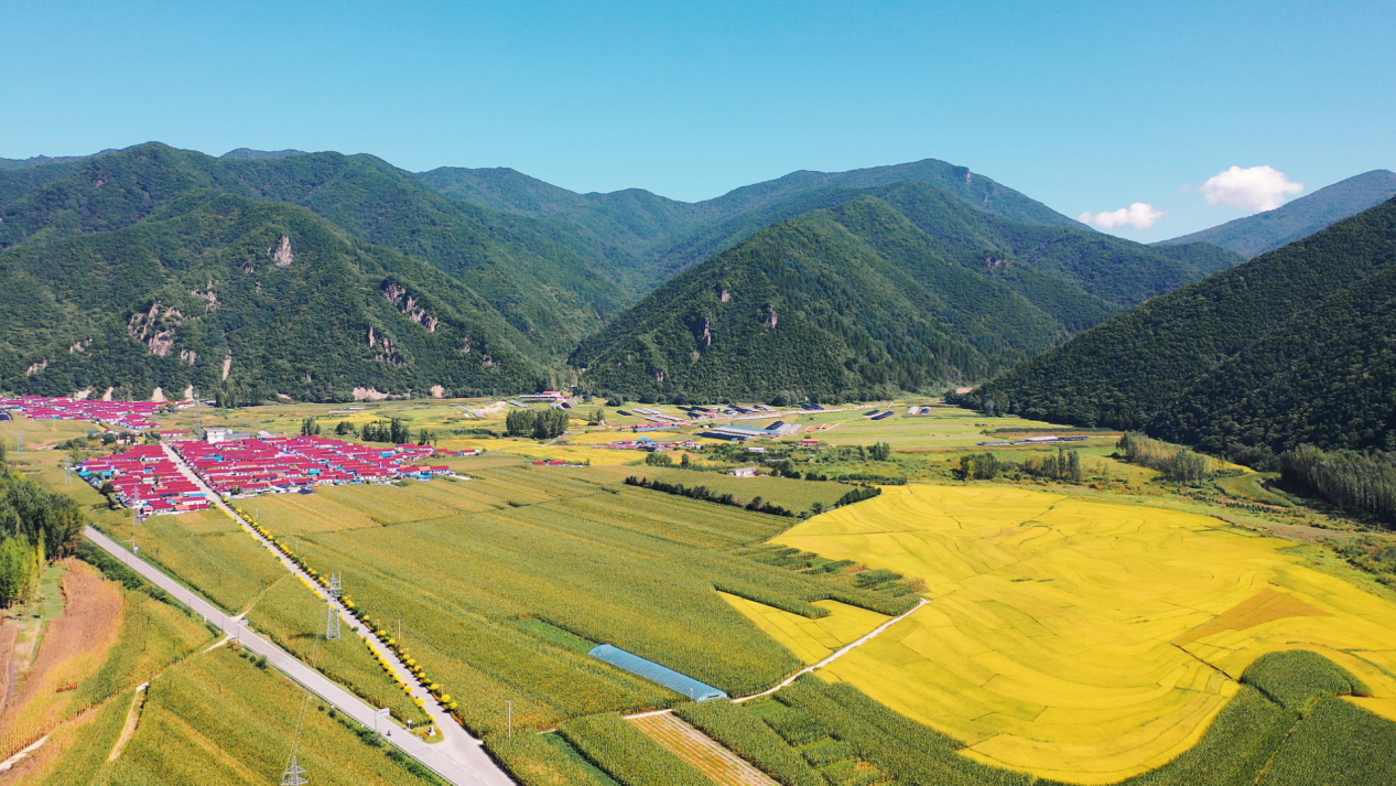 中国农民丰收节｜丰收盛景托起乡村振兴梦#秋之多彩吉林#诗情秋意 遇见白山#