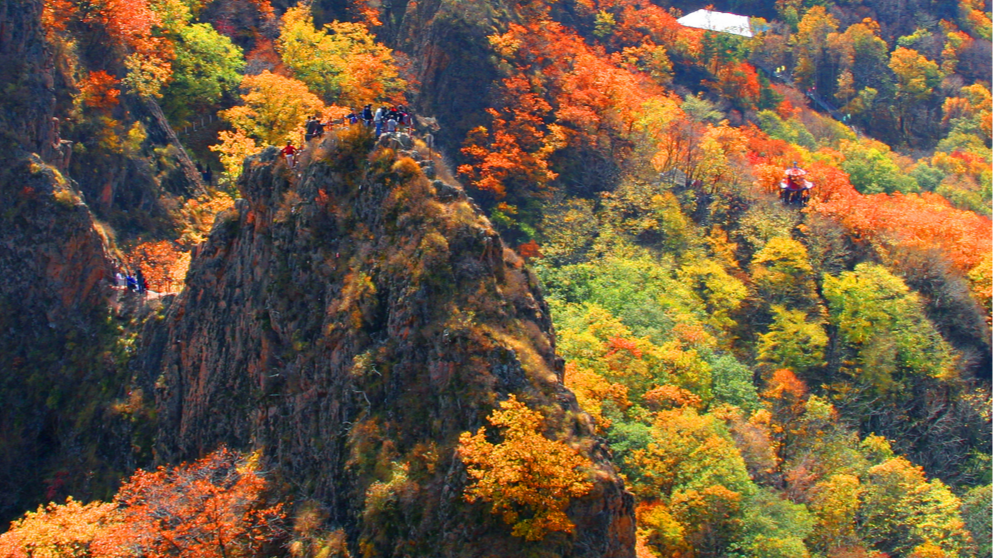 山水入画来，诗意共远方—“白山松水”秋韵美