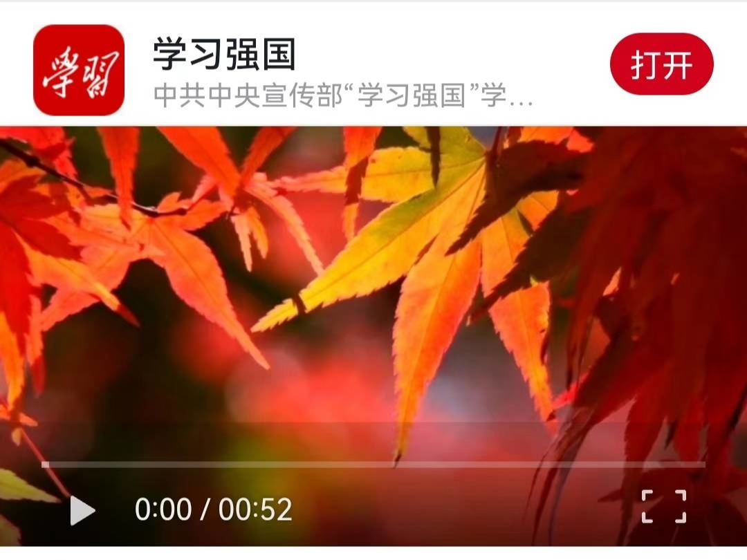 【媒体聚“蛟”】《学习强国》总平台“百灵-靓”频道丨蛟河红了 在秋日邂逅这座吉林小城