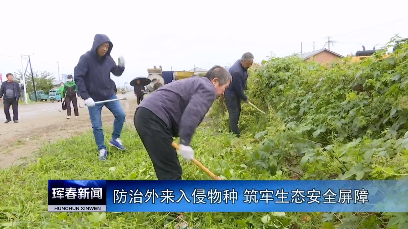 防治外来入侵物种 筑牢生态安全屏障