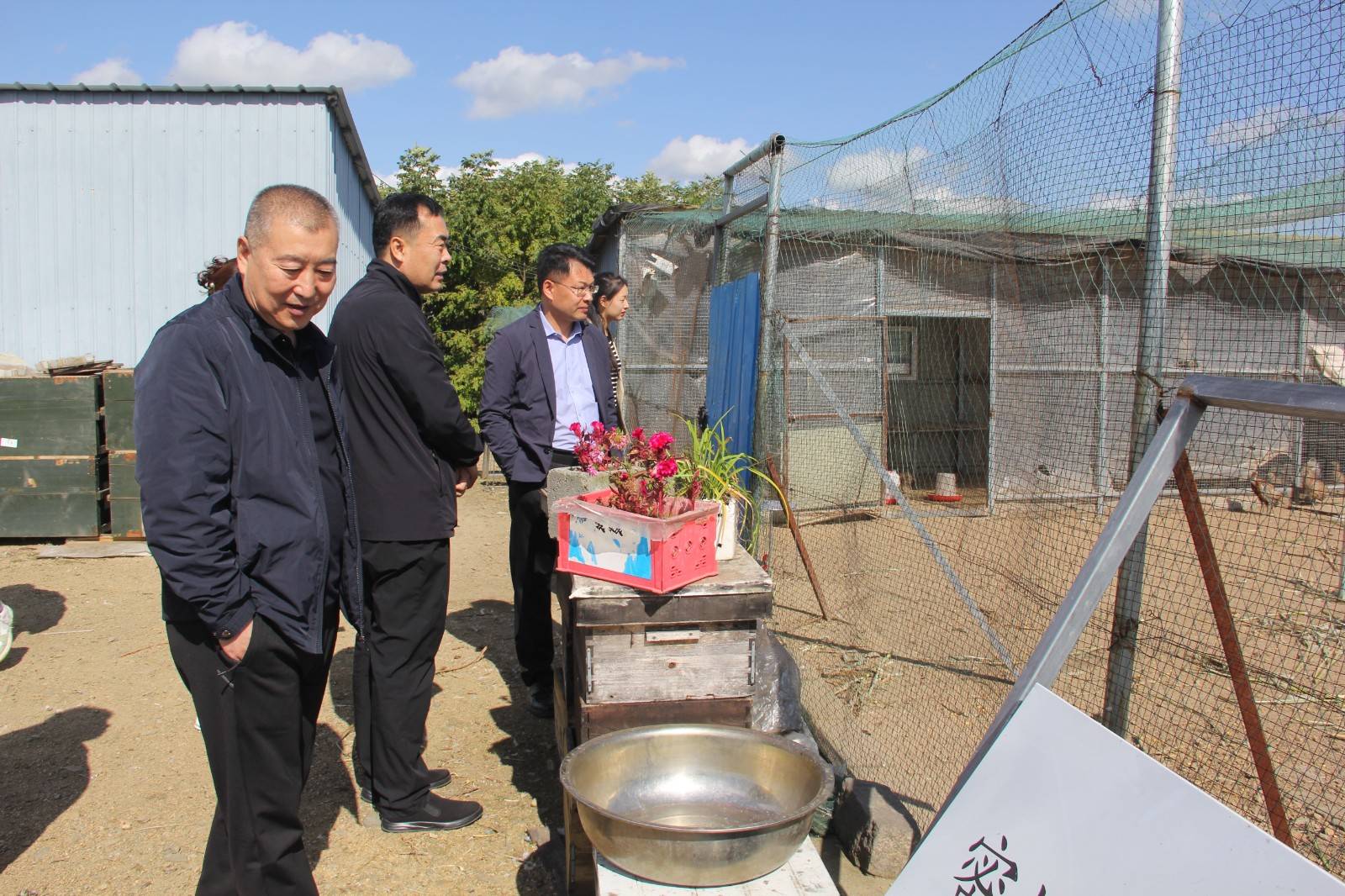 敦化市残联：助力乡村振兴 共建美丽乡村