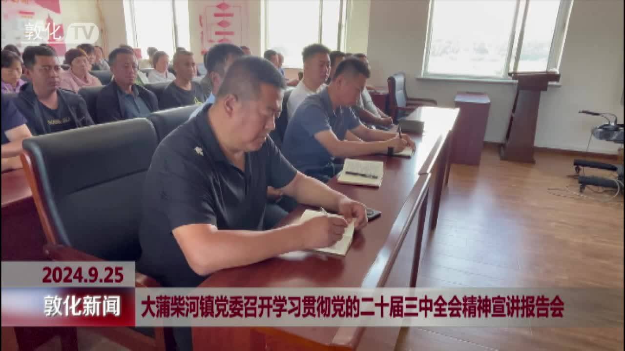 大蒲柴河镇党委召开学习贯彻党的二十届三中全会精神宣讲报告会