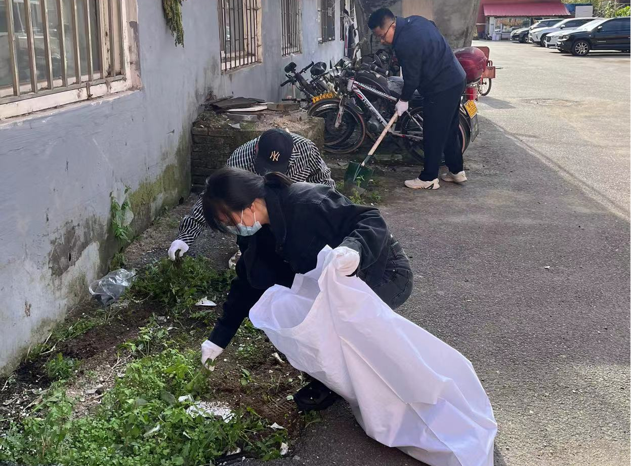 靖宇县财政局：环境整治不留死角 齐心打造靓丽靖宇