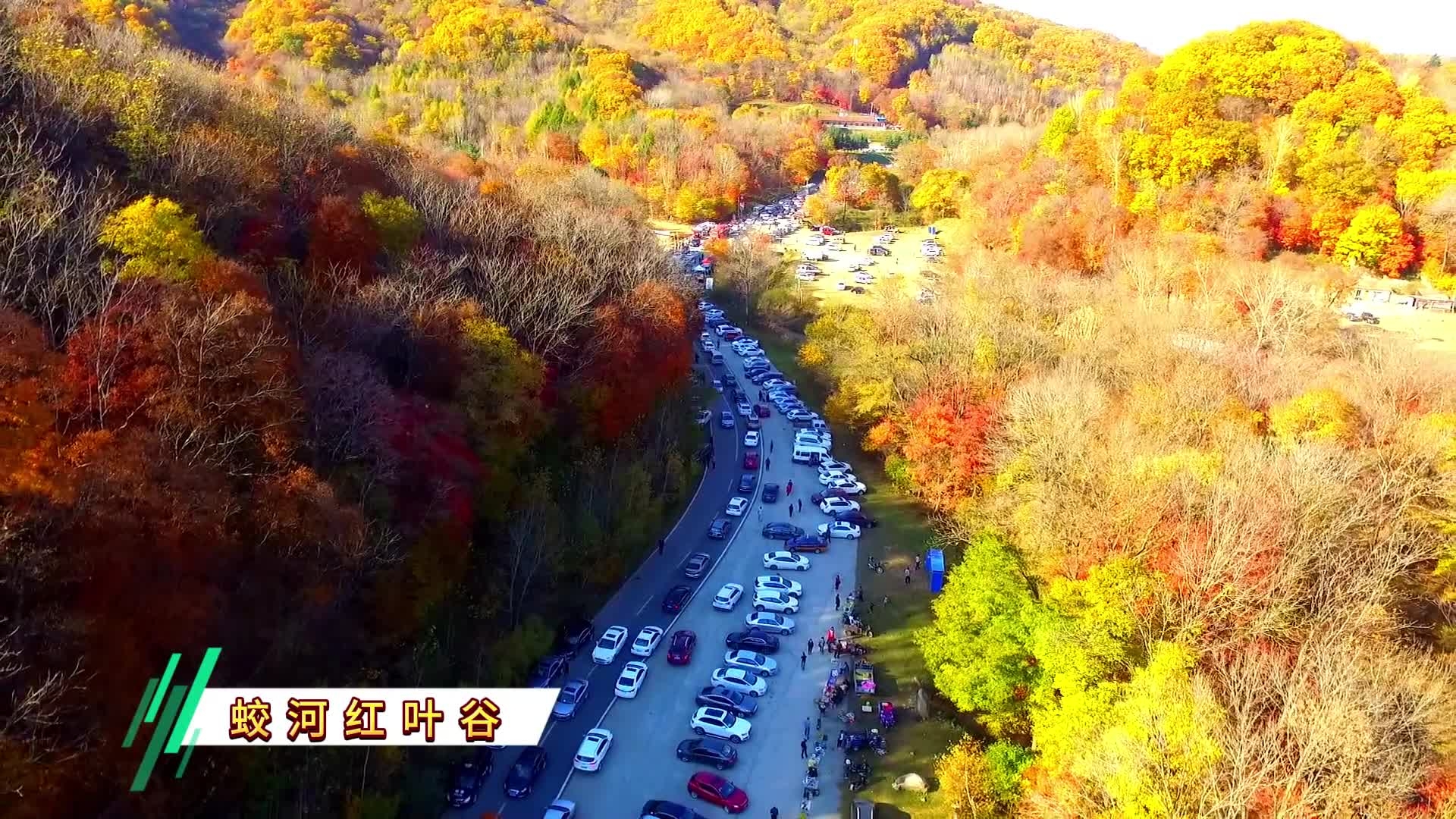 接下来的蛟河是这样的，秋日来蛟河赏红叶吧#吉林蛟河红叶有多美