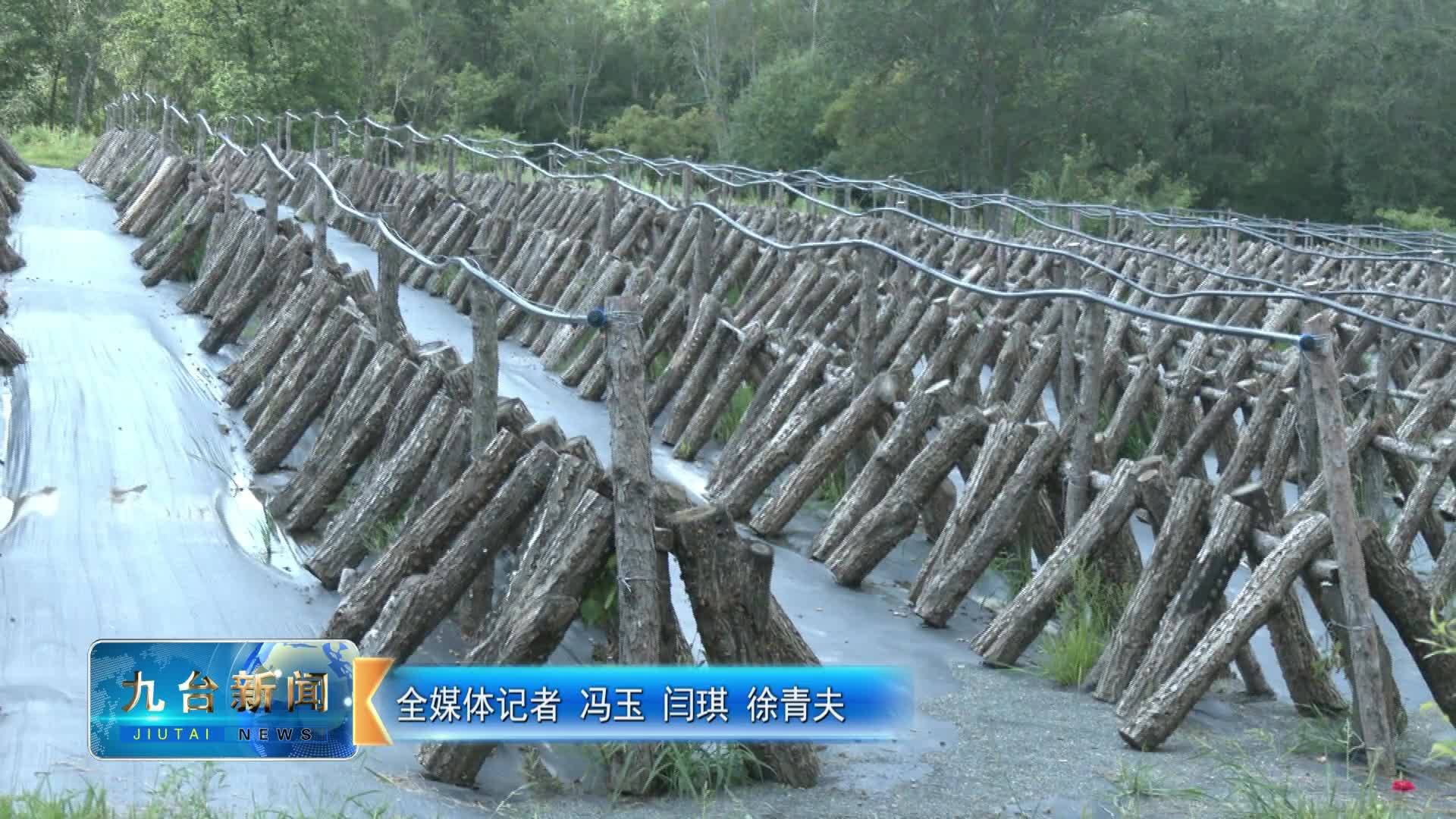 城子街街道：壮大村集体经济 打造乡村“强引擎”