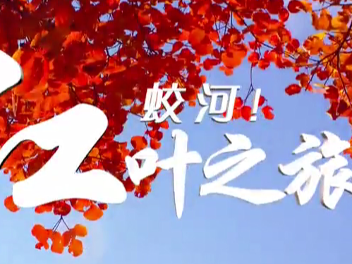 接下来的蛟河是这样的，秋日来蛟河赏红叶吧#吉林蛟河红叶有多美