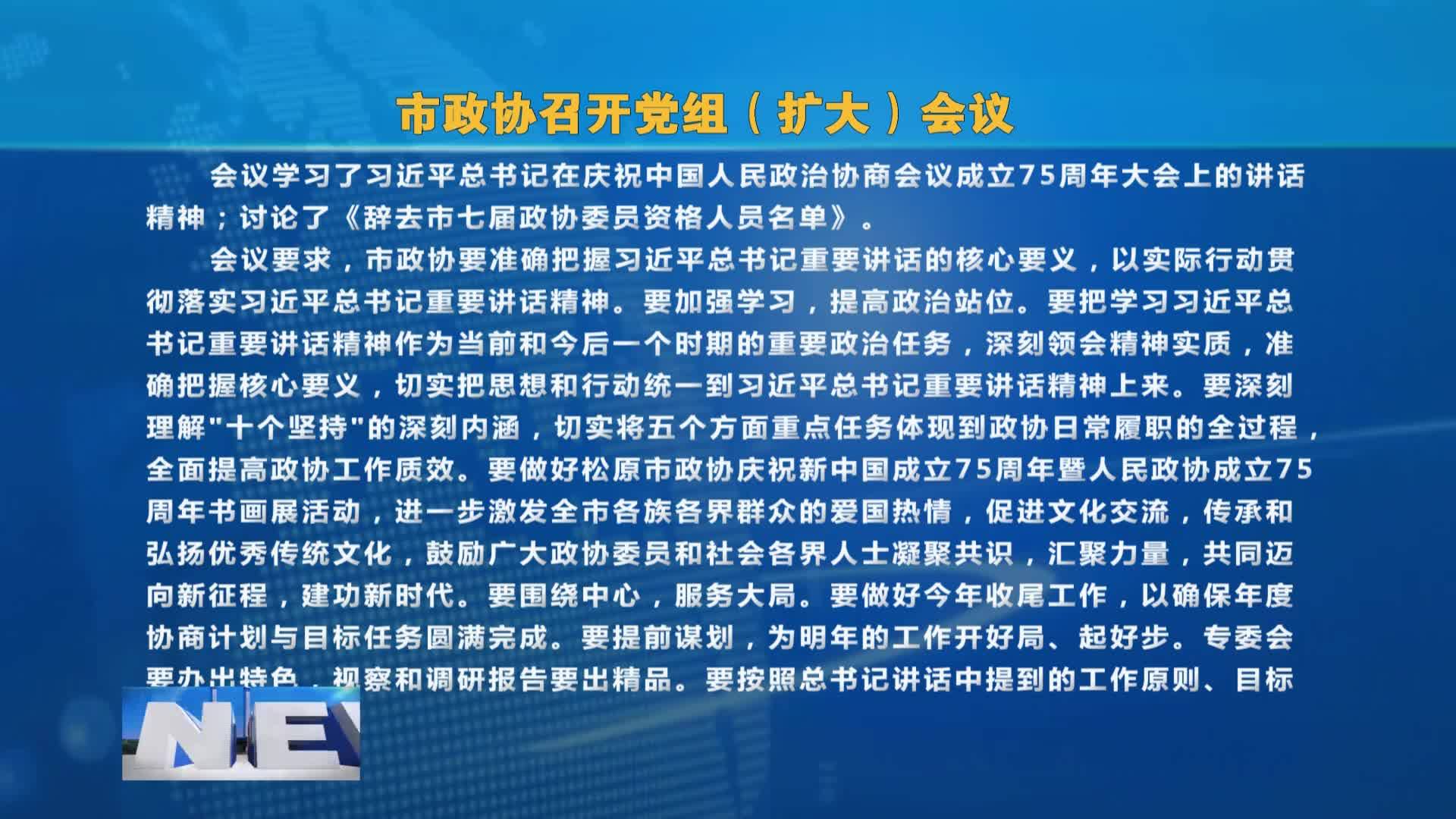 市政协召开党组（扩大）会议