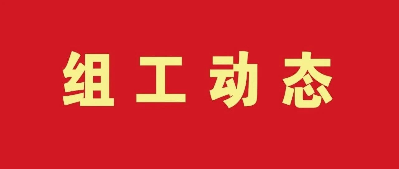 【组工动态】擦亮“三面镜” 为干部档案审核增效赋能