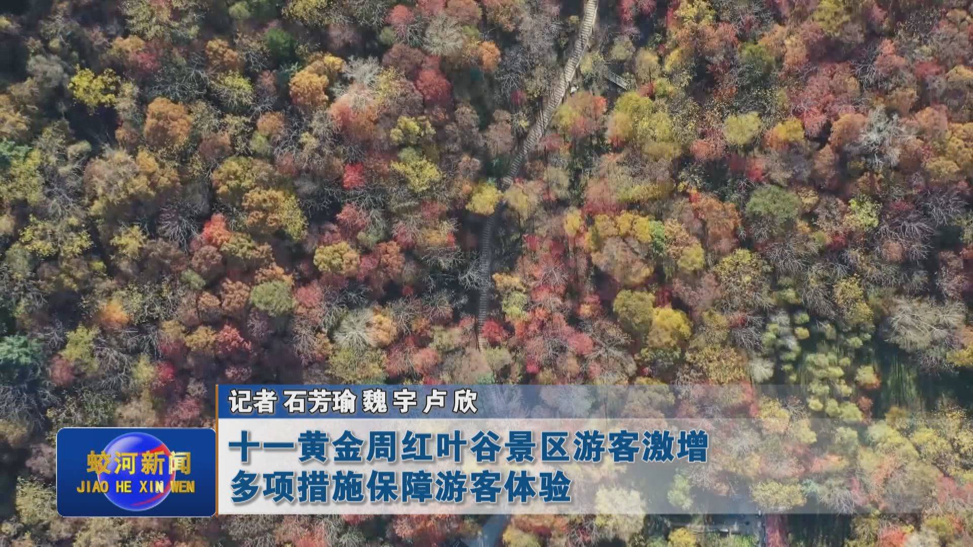 十一黄金周蛟河市红叶谷景区游客激增 多项措施保障游客体验