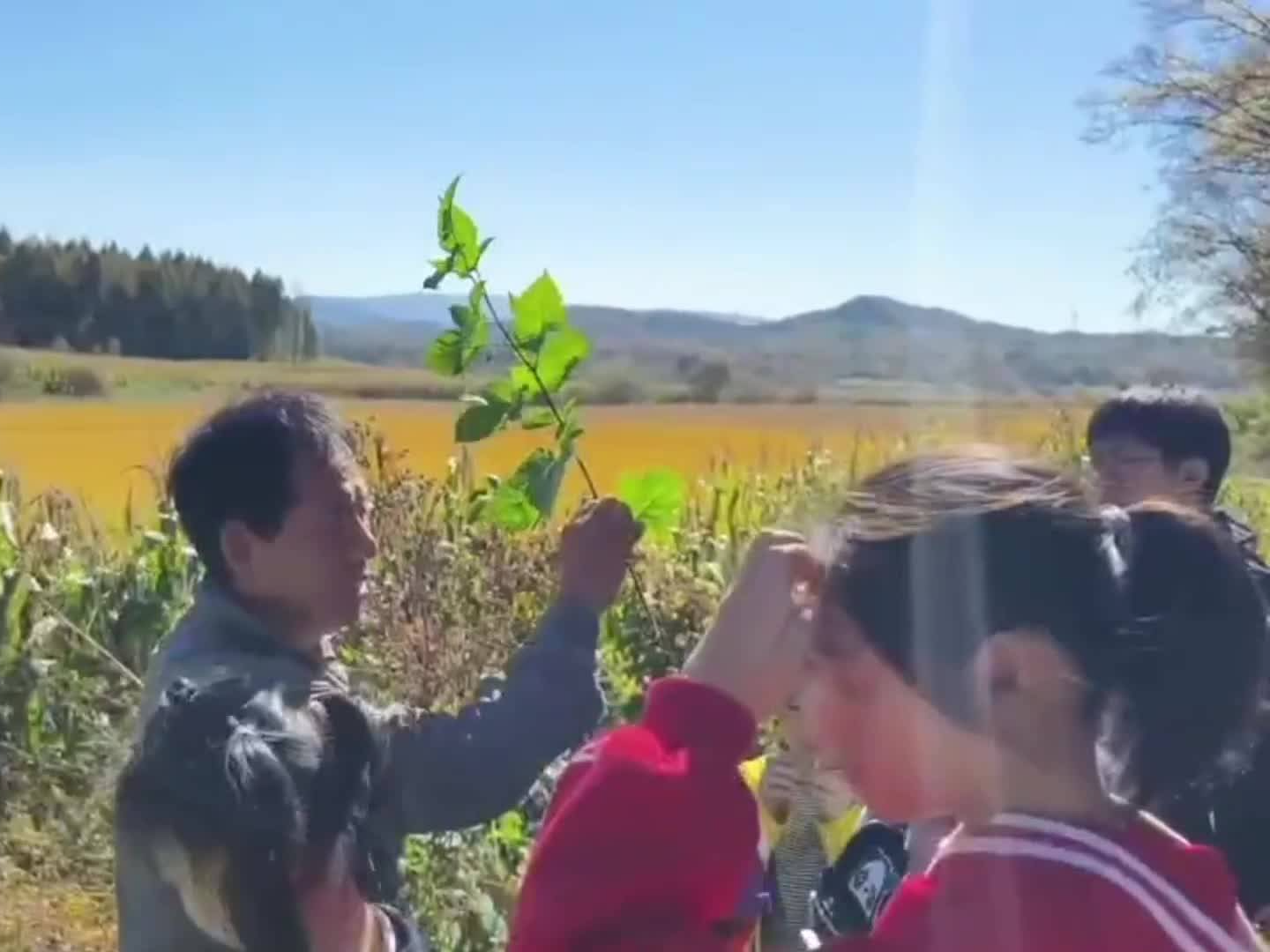 探索森林自然之旅 体验农耕与季节之美