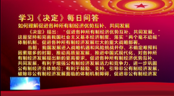 学习《决定》每日问答 | 如何理解促进各种所有制经济优势互补、共同发展