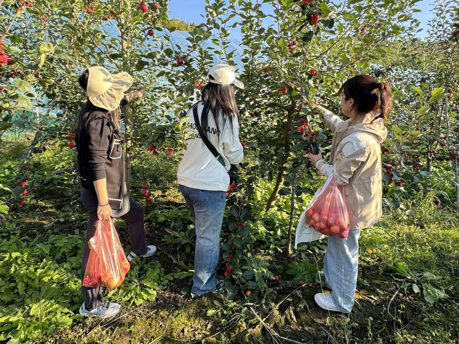 胜利街道长城社区开展文明旅游体验活动